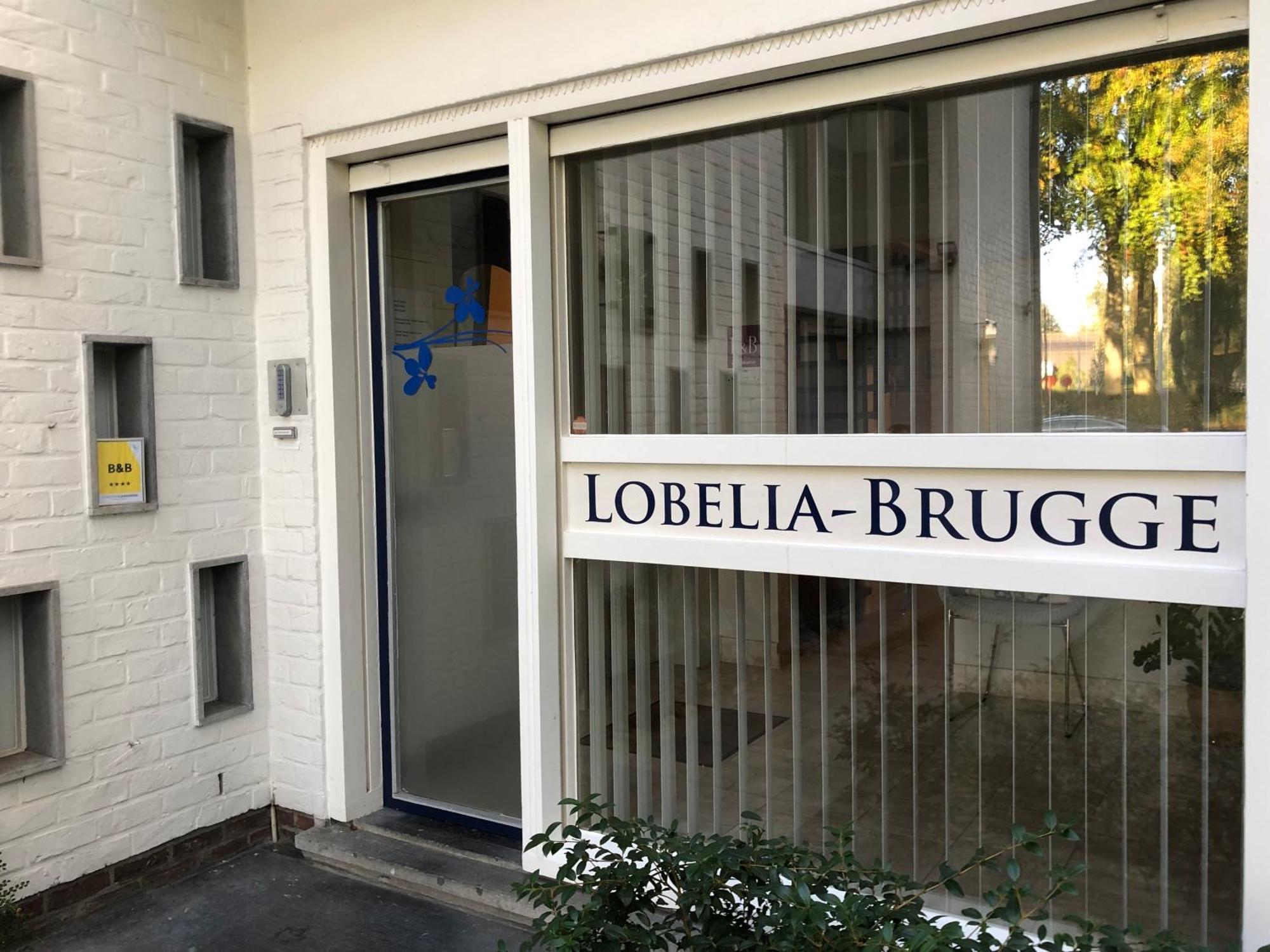 Lobelia-brugge Brujas